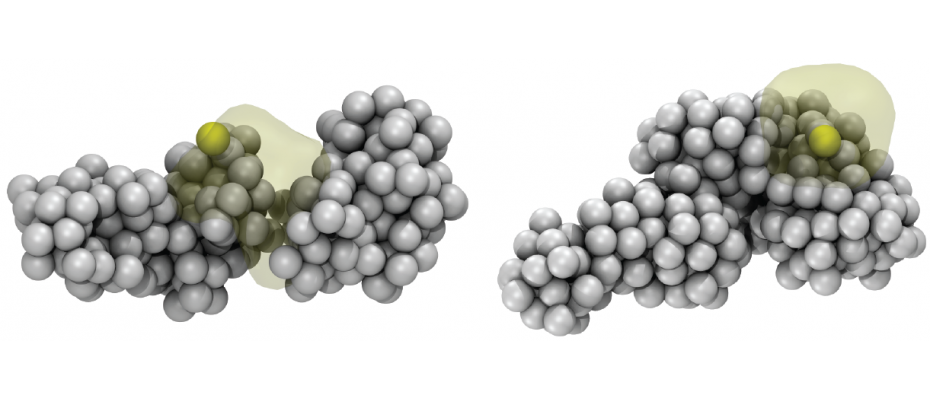 Image Caption Architectural changes in chromosome 13 around the pluripotency stem cell gene Sox2 (yellow ball) during reprogramming of blood cells (left) into induced pluripotent cells (right). (Credit: Marco Di Stefano, CNAG-CRG).