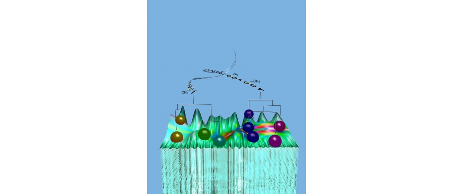 DNA Methylation