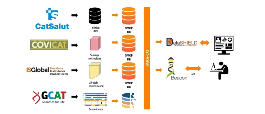 DATOS-CAT Project: Integration and Analysis of Biomedical Databases ...
